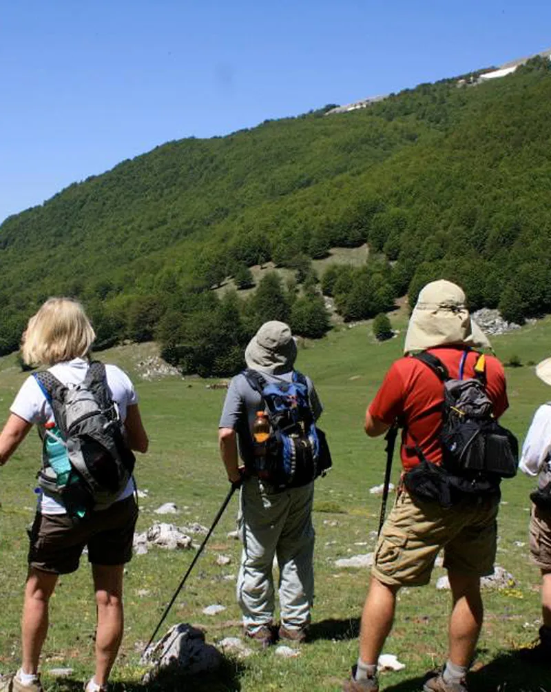 Trekking nel Parco del Pollino